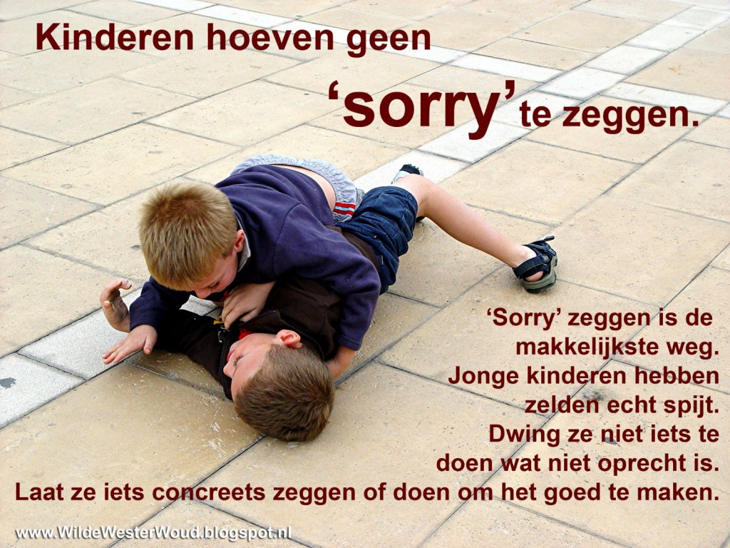 Rebelse regels: Kinderen hoeven geen ‘sorry’ te zeggen.