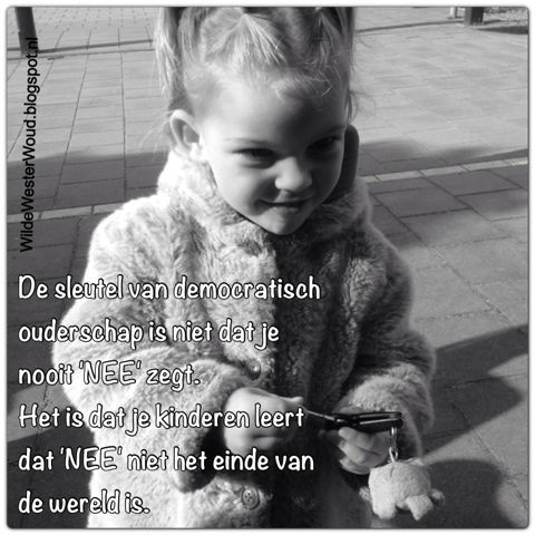 Woordenloze Woensdag