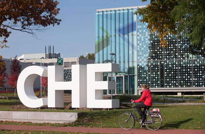 Oplossingsgericht coachen